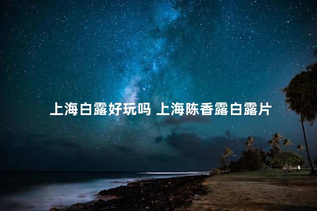 上海白露好玩吗 上海陈香露白露片